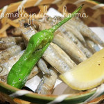 sashimi dining 魚浜 アンド バル - 