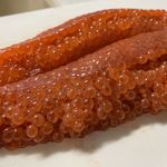 ラボラトリー - 自分で買った筋子