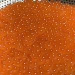 ラボラトリー - プリプリで美味しそう♪