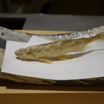 にい留 - 本シシャモ