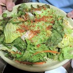 焼肉 はせ川 - チョレギサラダ