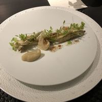 Élan - 