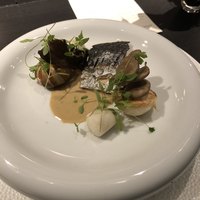 Élan - 