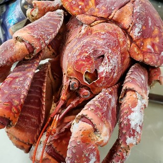 超 超レアな食材 ヤシガニを使った鍋コース 琉球泡盛酒場とぅるるん 天神橋筋六丁目 沖縄料理 食べログ 超 超レアな食材 ヤシガニを使った鍋コース 琉球泡盛酒場とぅるるん 天神橋筋六丁目 沖縄料理 食べログ