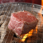 焼肉ホルモン酒場 陽真