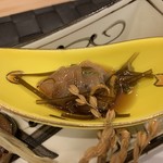 完全個室 北新地 葵たちばな - 