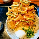 麦きり トクオカ - かき揚げおろしうどん