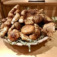 富小路 やま岸 - 山盛りの松茸！