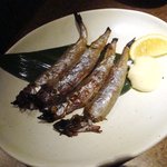 Kanzen Koshitsu Izakaya Domadoma - 