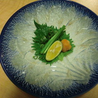 個室ふぐかに料理 磯笛 - 泳ぎてっさ