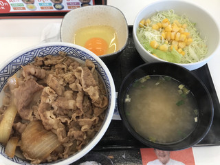 Yoshinoya - 牛丼並・Aセット(サラダ＋味噌汁)・玉子