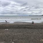 アトリエコータ - 