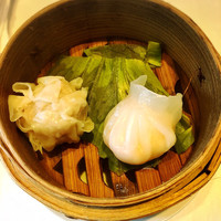 チャイニーズ 芹菜 - 