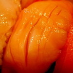 かねとも寿し - 赤貝