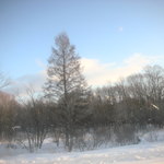 グランシャリオ - 