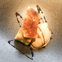 Bistro NOHGA  - 