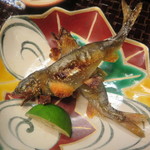 子持ちの焼き鮎　絶品です！