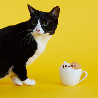 イクミママのどうぶつドーナツ_1