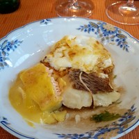 スプレンディード - 