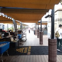 BLUE BIRDS ROOF TOP TERRACE - 