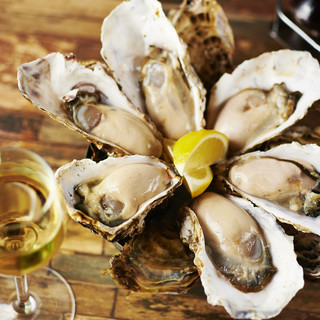 Enjoy fresh Oyster in Yokohama!