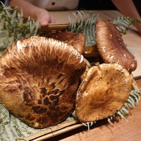 祇園 さゝ木 - 