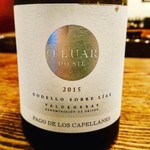 h BULL LATTE - 『オ･ルアール･ド･シル  ソブレ･リアス』 『シル川に反射する月光』という素敵な名前を持つ白ワインはDOリベラ･デル･ドゥエロで超有名なパゴ･デ･ロス･カペジャーネスがガリシア地方で作るゴデージョ100%のワイン
      
      シュール･リー(ソブレ･リアス)なので複雑で余韻の長い味わいです。