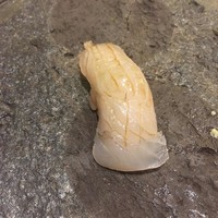 秀徳本店恵 - 