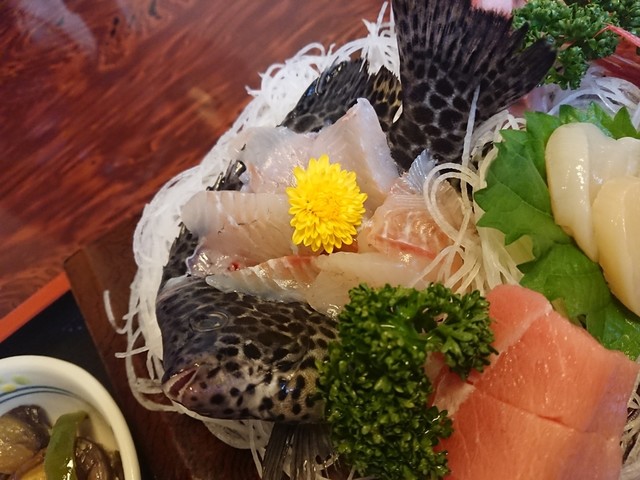 イシガキダイの刺身 By お職の花魁 みのる 郡山富田 寿司 食べログ イシガキダイの刺身 By お職の花魁 みのる 郡山富田 寿司 食べログ