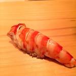 鮨 尚充 - 車海老