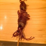 鮨 尚充 - 蛍烏賊