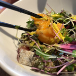 シュヴァル・ドゥ・ヒョータン - 