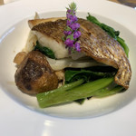 シュヴァル・ドゥ・ヒョータン - 