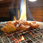 朝〆ほるもん専門店まるじゅう - てっぽう