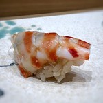 鮨旬美西川 - 車海老（レアよりも少し火を通した状態）・・これも美味しい。 海老自体が立派ですので、旨みが凝縮しているのでしょうね