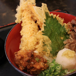 讃岐うどんの 七宝亭_0