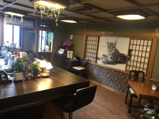 Cafe & Wine Nekobo photo 4