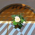 Babuino 181 - お花も嬉しい〜〜♬