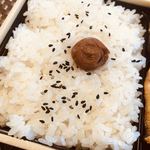 ほっともっと - 