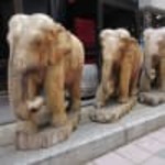 コスギカレー - 