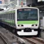 コスギカレー - 