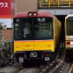 コスギカレー - 