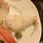 小松 弥助 - ●お造り
      ・あかいか（アップ）