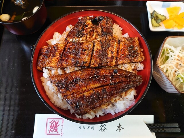 谷本 津 うなぎ 食べログ 谷本 津 うなぎ 食べログ