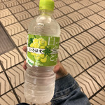 ファミリーマート - ドリンク写真: