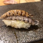 あま木 - シャコ