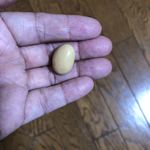 北の自然菓 柳月 - 