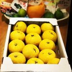 [Yuzu from Kochi Prefecture]