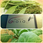 オステリア ジョイア