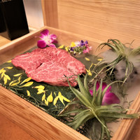 きみや 大阪本店  - 厳選ヘレ＆和牛シャトーブリアン
